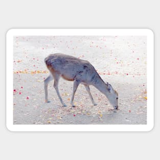 Deer 3 Sticker